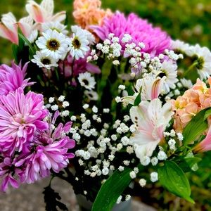 Meet your Posher, Allie